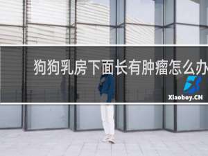 狗狗乳房下面长有肿瘤怎么办