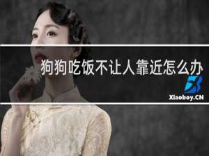 狗狗吃饭不让人靠近怎么办