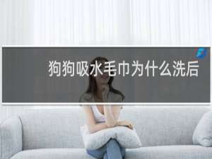 狗狗吸水毛巾为什么洗后会硬