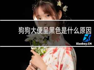 狗狗大便呈黑色是什么原因