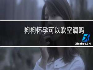 狗狗怀孕可以吹空调吗