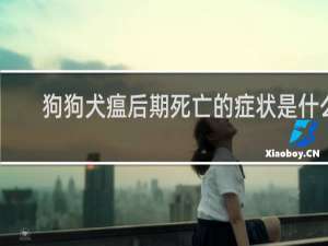 狗狗犬瘟后期死亡的症状是什么