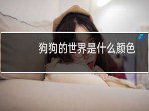 狗狗的世界是什么颜色