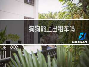 狗狗能上出租车吗