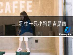 狗生一只小狗是吉是凶（狗生一只小狗是吉是凶）