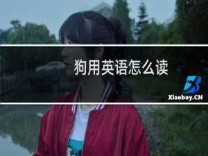 狗用英语怎么读