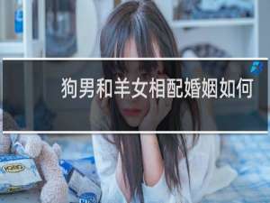 狗男和羊女相配婚姻如何
