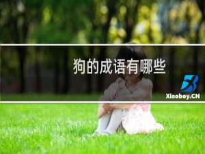 狗的成语有哪些