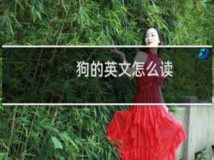 狗的英文怎么读
