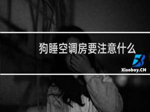 狗睡空调房要注意什么