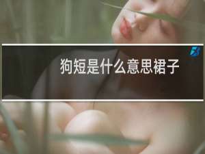 狗短是什么意思裙子，jk狗短为什么叫狗短什么梗