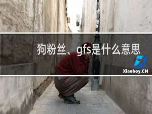 狗粉丝、gfs是什么意思，是什么群体什么梗