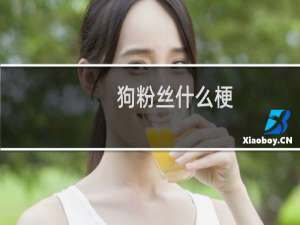 狗粉丝什么梗