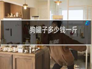 狗罐子多少钱一斤
