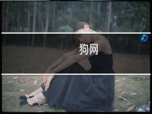 狗网