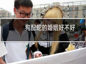 狗配蛇的婚姻好不好