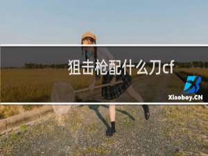 狙击枪配什么刀cf