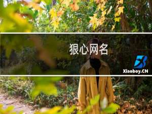 狠心网名