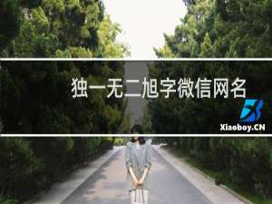 独一无二旭字微信网名