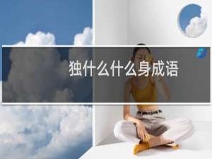 独什么什么身成语