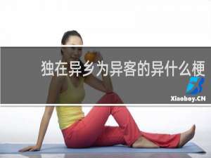 独在异乡为异客的异什么梗