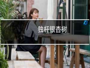 独杆银杏树