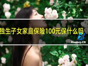 独生子女家庭保险100元保什么吗