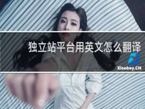 独立站平台用英文怎么翻译
