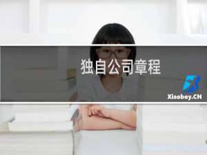 独自公司章程