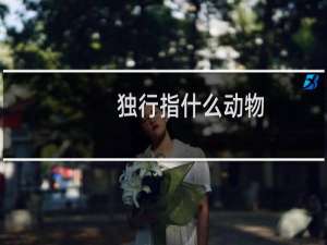 独行指什么动物