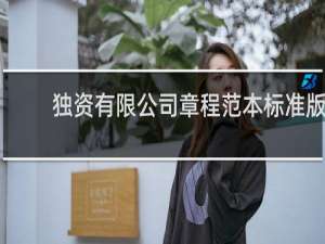 独资有限公司章程范本标准版