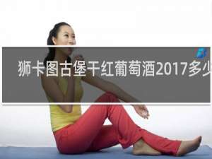 狮卡图古堡干红葡萄酒2017多少钱
