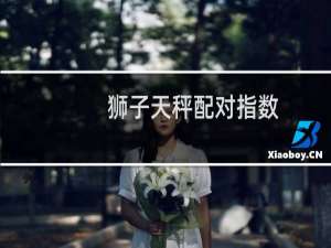 狮子天秤配对指数