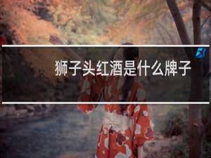 狮子头红酒是什么牌子