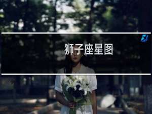 狮子座星图