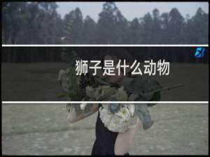 狮子是什么动物
