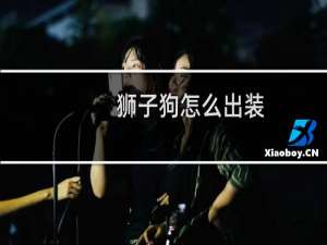 狮子狗怎么出装