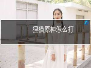 狸猫原神怎么打