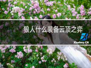 狼人什么装备云顶之弈