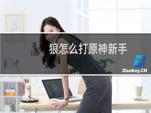 狼怎么打原神新手