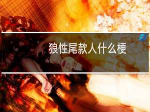 狼性尾款人什么梗