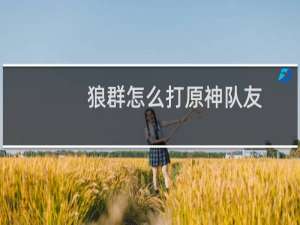 狼群怎么打原神队友
