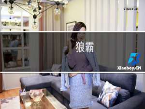 狼霸+攻略