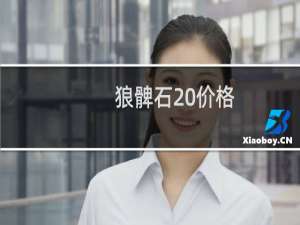 狼髀石 价格