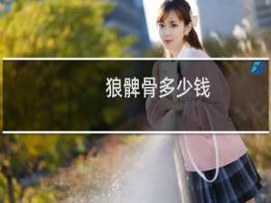 狼髀骨多少钱