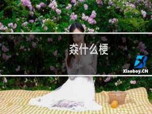 猋什么梗