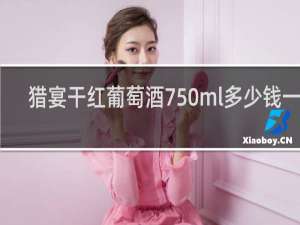 猎宴干红葡萄酒750ml多少钱一瓶
