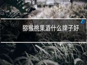 猕猴桃果酒什么牌子好