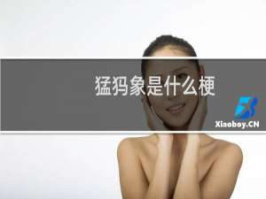 猛犸象是什么梗