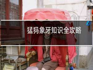 猛犸象牙知识全攻略